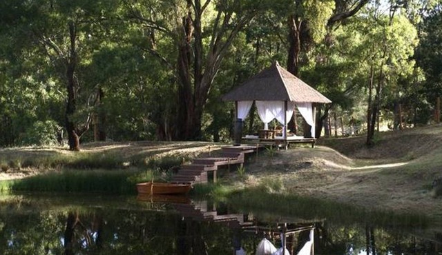 Buddha Rose ........