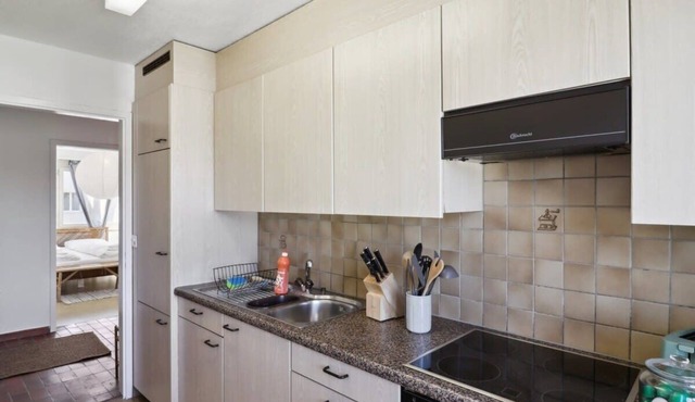 Budget-Friendly Apartment in Zurich