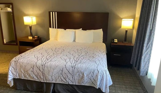 Budget-Friendly King Suite w/Microwave + Refrigerator for Comfort
