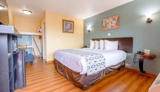 Budget-Friendly King Room Close to Oceanside Beach