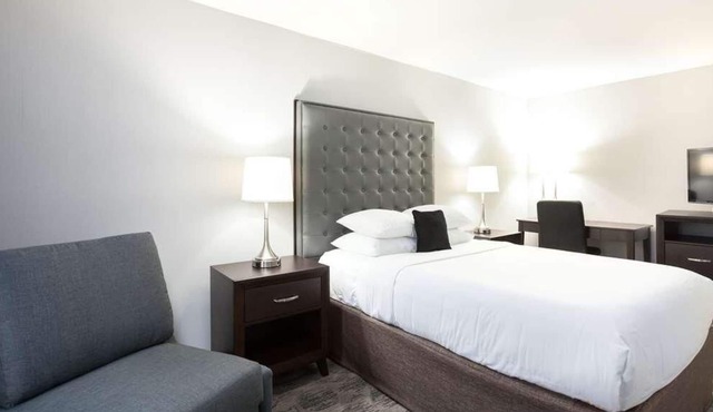 Budget-Friendly Stay in Washington, Free Parking, Pet-Friendly, Free Breakfast