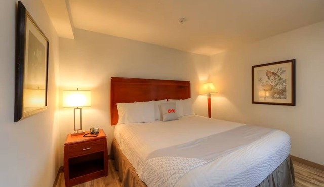 Budget-Friendly Newport Inn By OYO, Pet-Friendly, Near Yaquina Head & Devils Pun