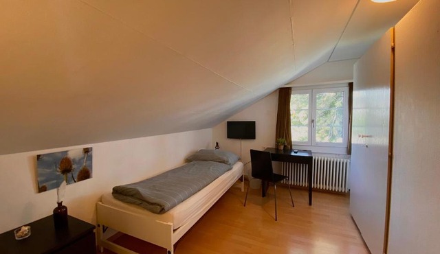 Budgetapartment Rheinfall von Swisspartments