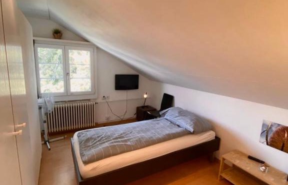 Budgetapartment Zeppelin von Swisspartments