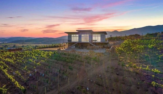 Buena Vista - Valle de Guadalupe