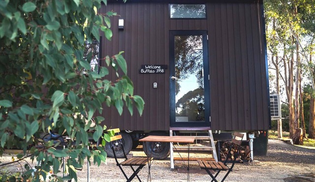 Buffalo 3958 Summary: