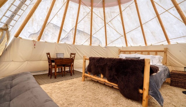 Buffalo Glamping Tipi with King Bed in Black Hills