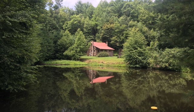 Buffalo Hollow Preserve & Cabin in the Blue Ridge MountainsnPet Friendly