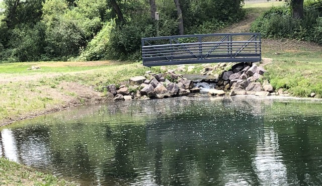 Buffalo Ridge Resort