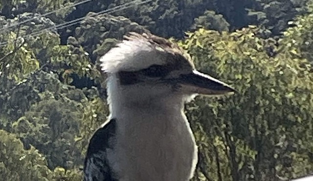 Built for Family Fun