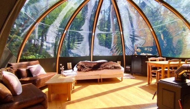 Bulle forestière - Etat Nature