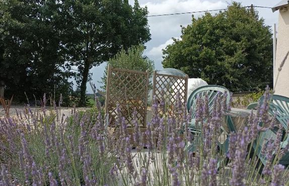 Bulle insolite Brocéliande