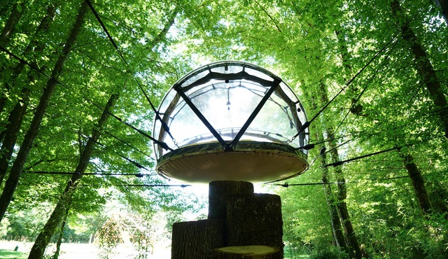 Bulle Suspendue Entre Prairie et Forêt Avec Petit Déjeuner Pour 2 Personnes