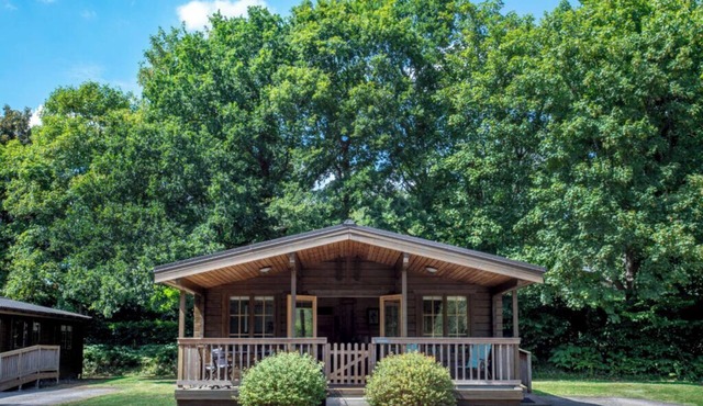 'Bullrush' luxury Log Cabin. 3.5 acre lakeside setting in Pewsey Vale Wiltshire