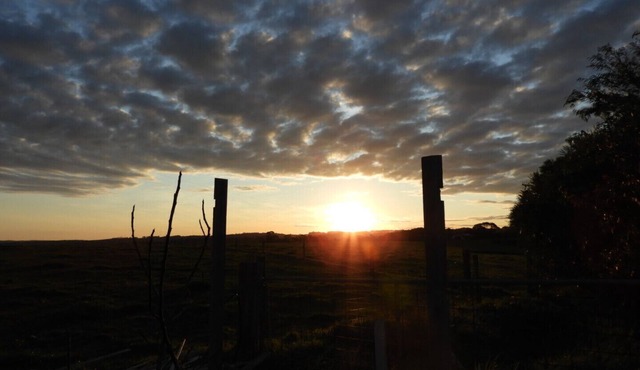 Buln Buln Cabins (Cabin 2)