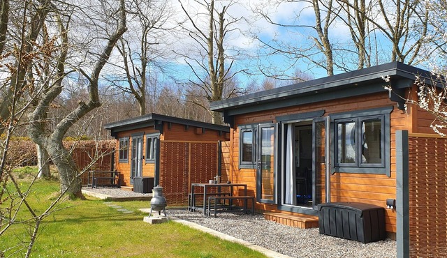 Bumblebee Cabin at Redroofs