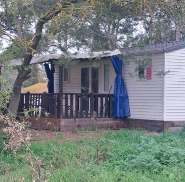 Bungalow climatisé dans pinede