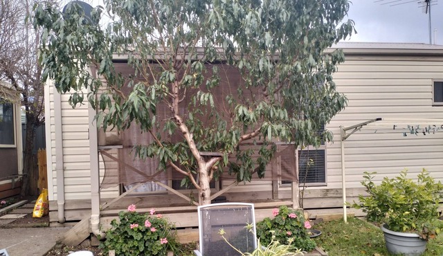 Bungalow Cosystay: Cosy Little Place Overlooking the Back Yard Garden