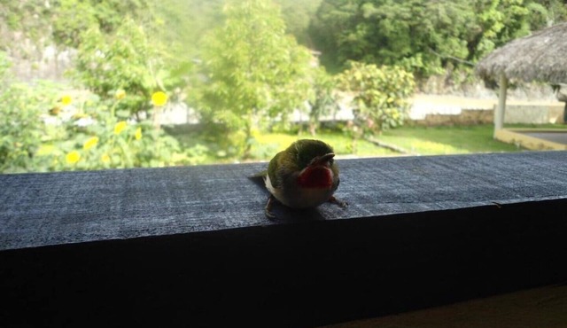 Bungalow directly on the river Bungalow directly on the river with bathing area