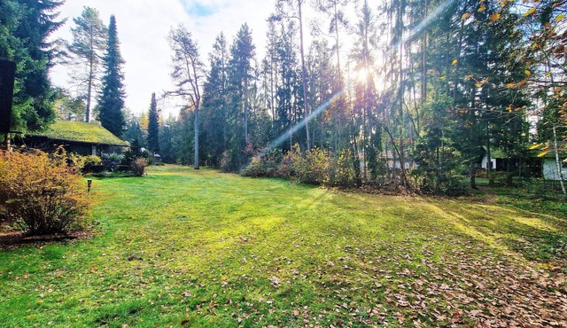 Bungalow directly at the lake, with own boat in Neubäu / Roding