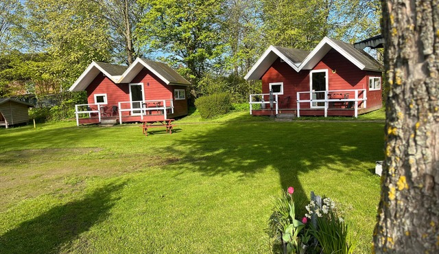 Bungalow for 4 guests with 18m² in Gråsten (265101)