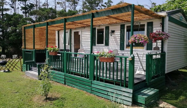 Bungalow Le Platane with private SPA