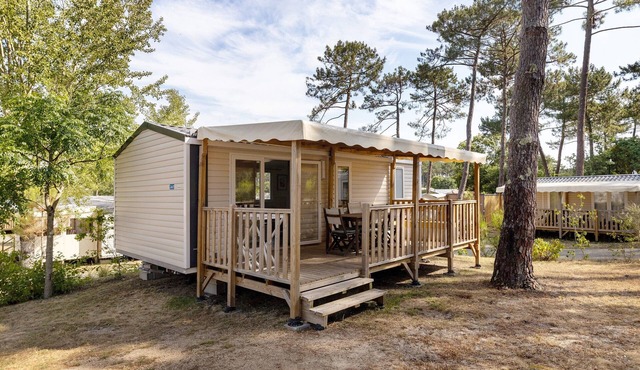 Bungalow "Les Lodges Des Pins" with Shared Pool
