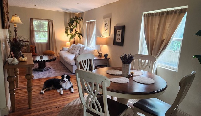 Bungalow on quiet street close to trendy cafes, pubs, and parks. Dogs welcome!