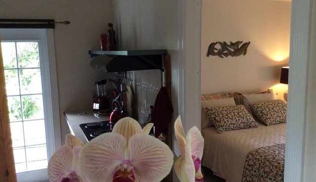 Bungalow only 2 blocks from the ocean (Cliff) with private patio & OCEAN VIEW