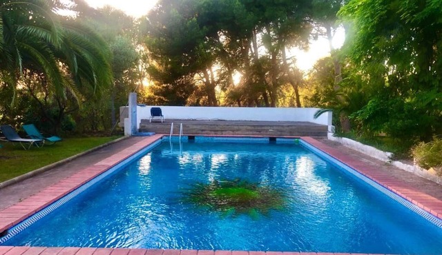 Bungalow Privado en Finca Ecológica a Solo 30 Minutos de Valencia y Playas