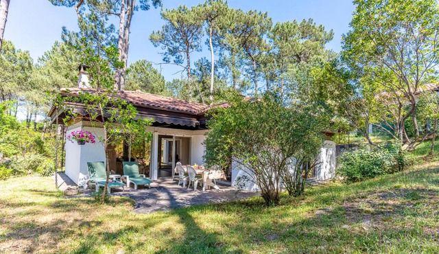 Bungalow sous les pins près du Lac
