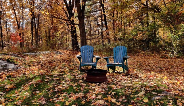 Bungalow-Style Cottage in Frontenac County