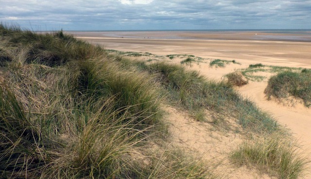 Bungalow with coastal walking and birdlife on the doorstep. Sandy beach.