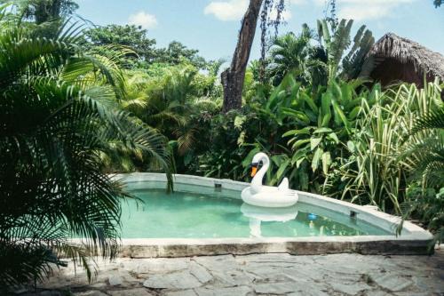 Bungalows India, El Valle, Samana