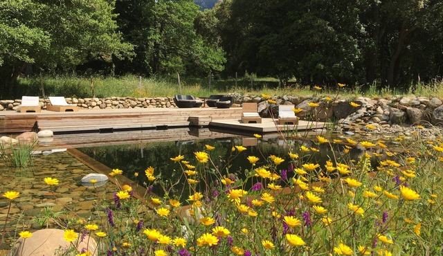 Bungalows surrounded by nature, natural swimming pool and organic garden