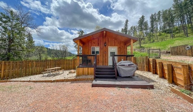 Bunk House At Gold Creek: Rustic Lux Cabin Near Mt. Rushmore & Custer State Park
