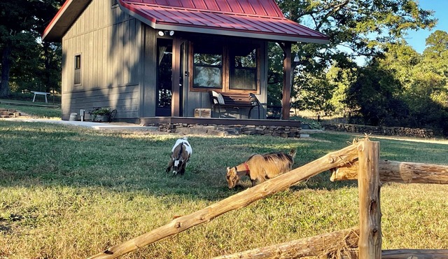 Bunkhouse in the Beautiful Ozark Mountains Near Iconic Buffalo National River