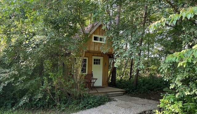 Bunkie in the Forest