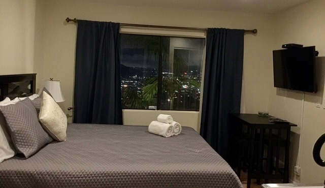 Burbank Hills New Suite with City Light Views and access to Balcony!