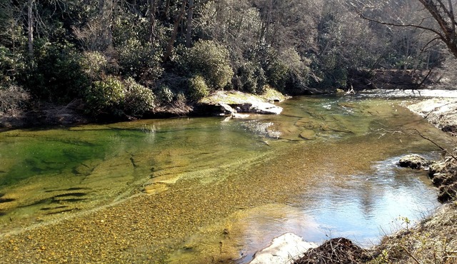 Burnsville, NC - Awesome 40 Acre Retreat on the South Toe River