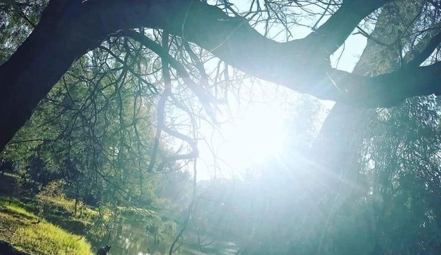 Burramine Haven is a recently updated cottage style home amongst the gum trees.