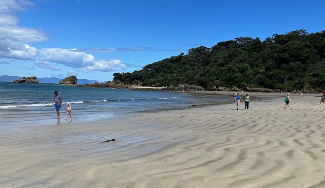 Bush and beach retreat