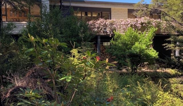 Bush and birdsong at spacious home-away-from-home, just minutes from lake shore