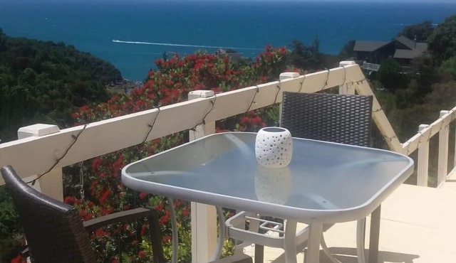 Bush and Seaview Studio