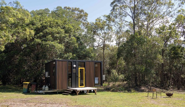 Bush by the Bay by Tiny Away