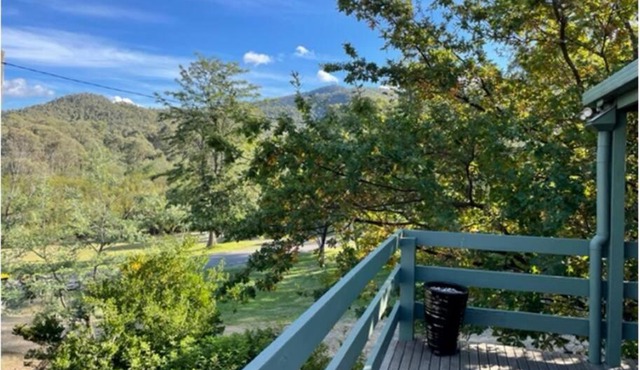 Bush Views Gough's Bay