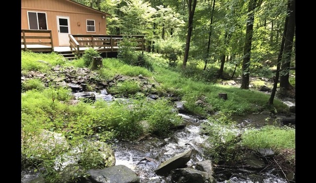 Bushkill Falls Cabin