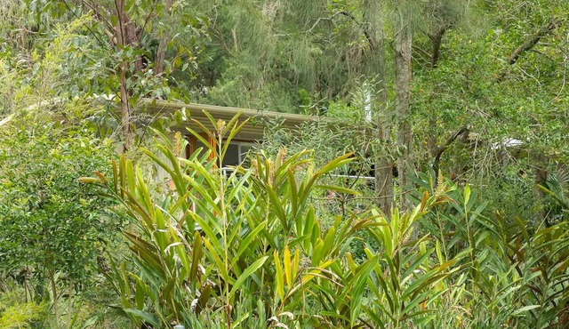 Bushland Retreat beside a beautiful lake - big eco house with 4 large bedrooms.