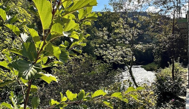 Business Hotel Riverside