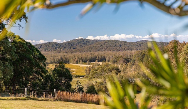 Busters Run - close to Seal Rocks - Linen - Pet Friendly